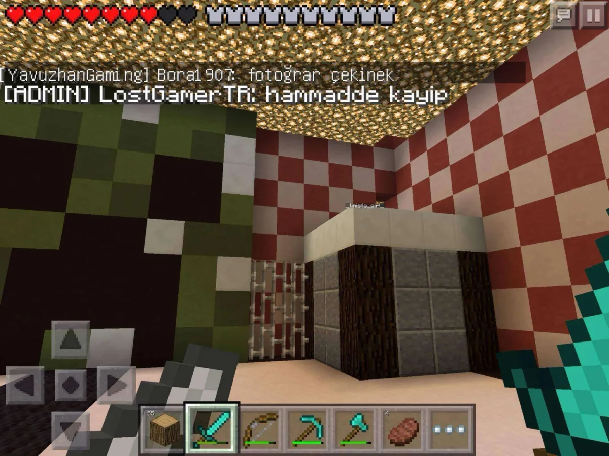 kayip