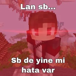 lan yine hata var