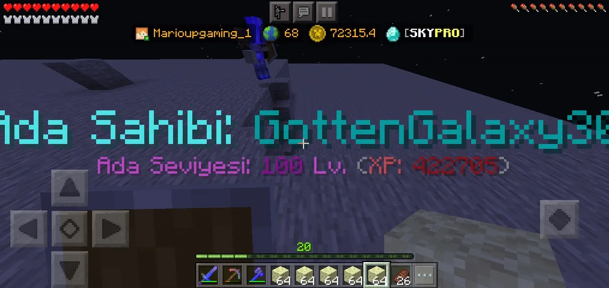 arkın adayı 100 lvl yapmaca